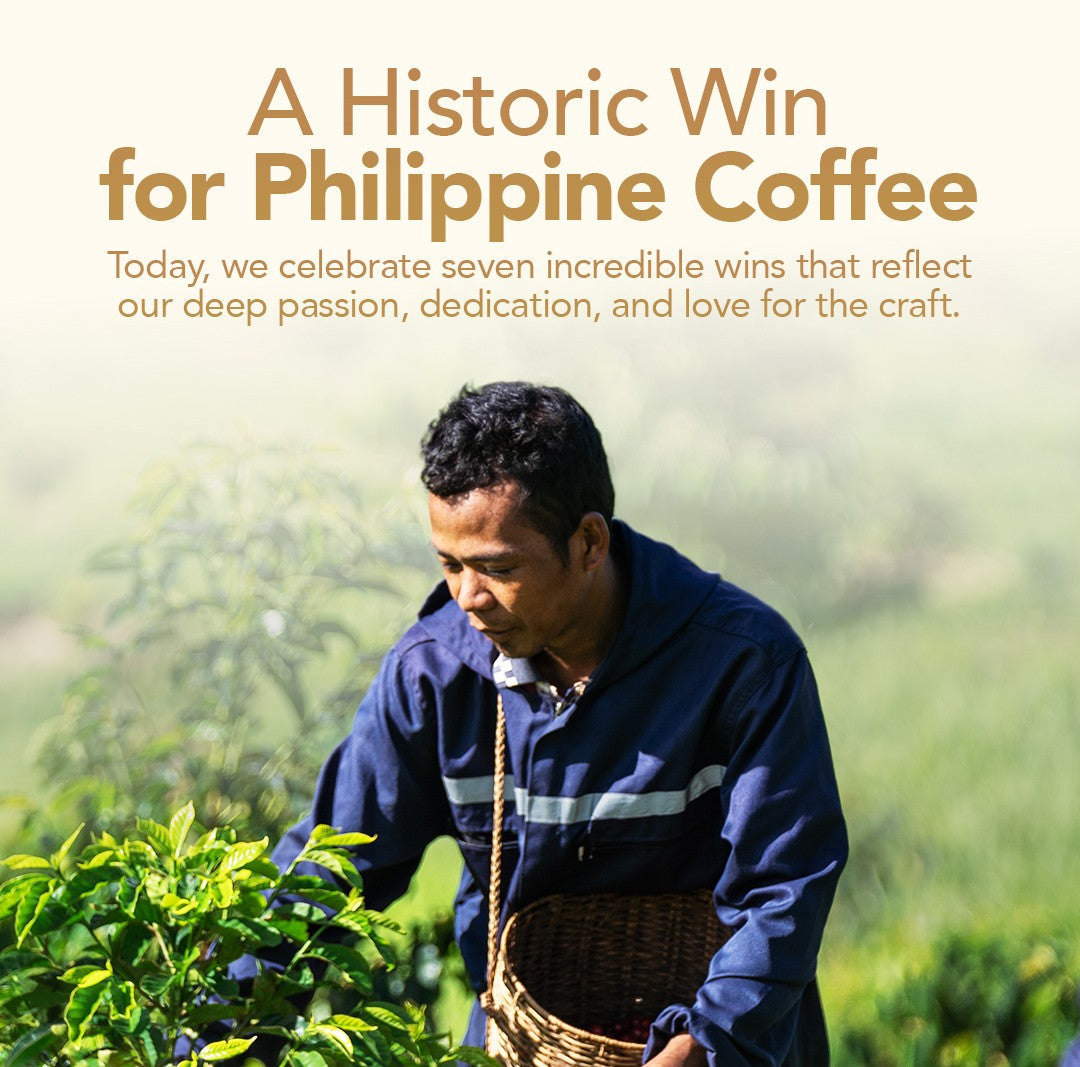 Love Your Origin: Curve Coffee Collaborators’ Historic Wins at the Global Coffee Awards 2025 and 2026