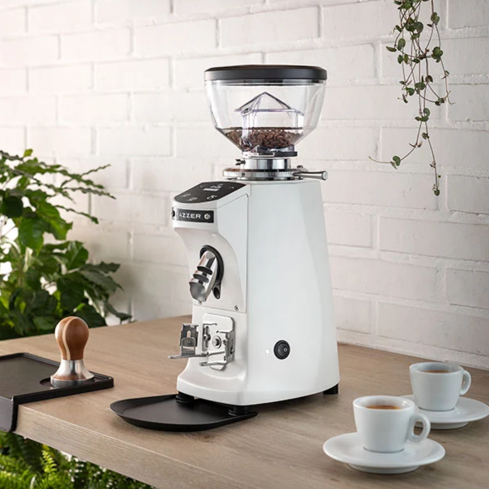 Mazzer Mini