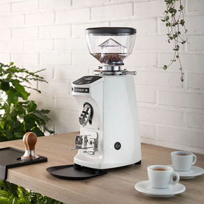 Mazzer Mini