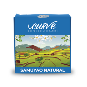 Samuyao Natural - Curve Coffee Collaborators