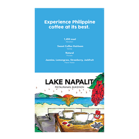 Lake Napalit Natural Drip Box Coffee 12G X 10'S