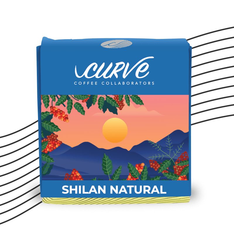Shilan Raja Shilan Natural